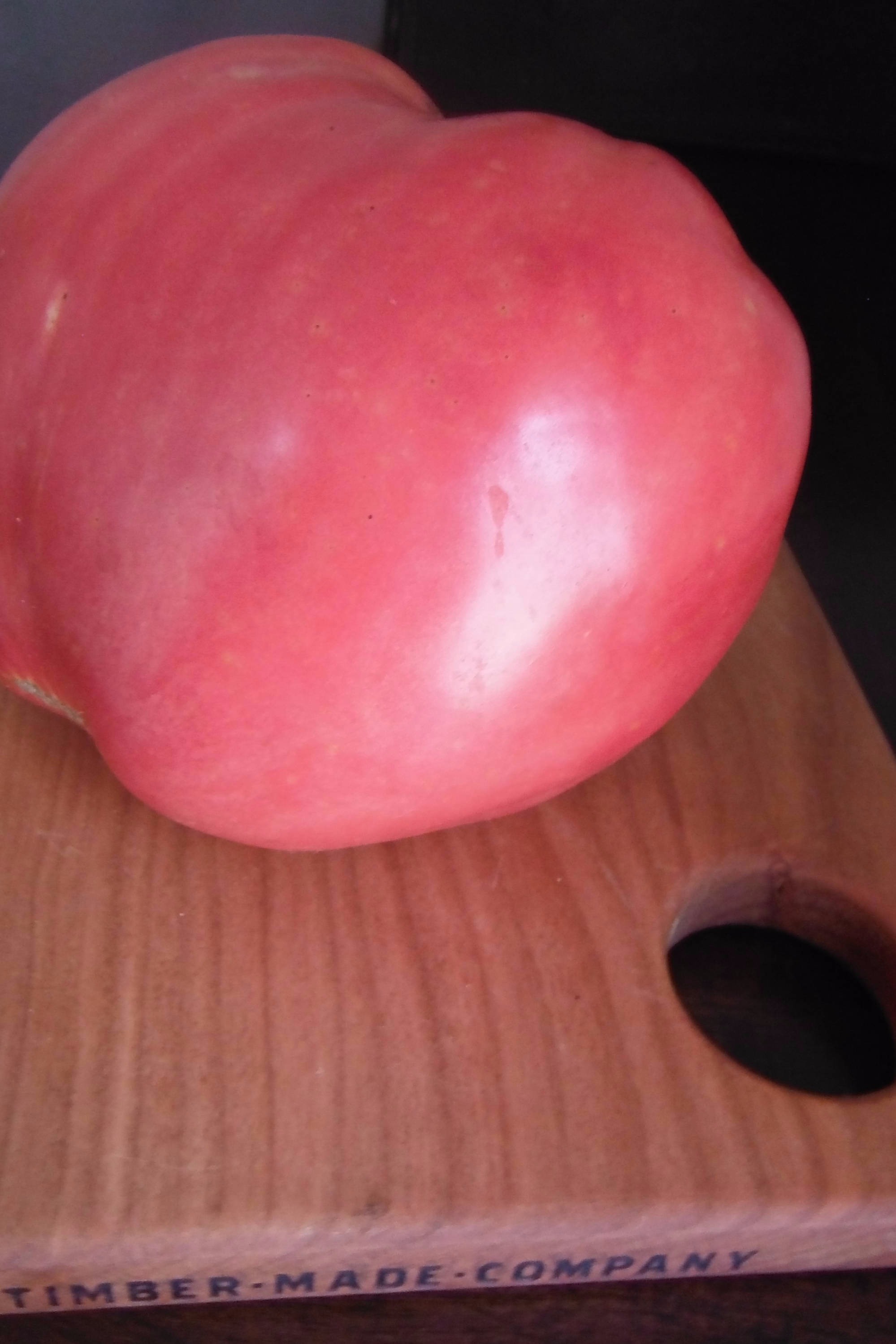 1 dark red, rich Tomato in 2019, BHR in the foothills of the Blue Ridge Mountains